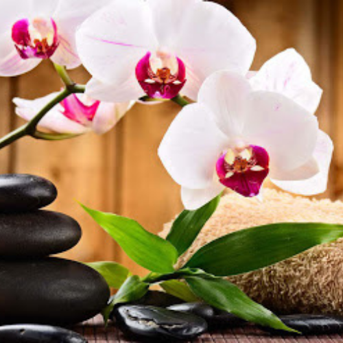 Spa in Kolkata